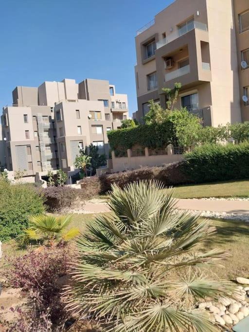 Apartment Sunny Bright 1br In Palm Hills Cairo