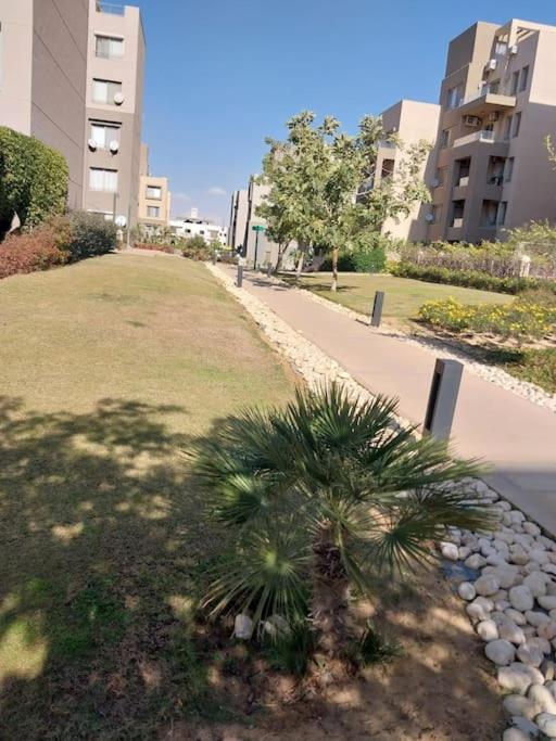 Apartment Sunny Bright 1br In Palm Hills